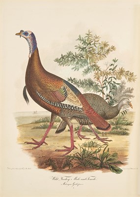 Lot 269 - WILSON, ALEXANDER American Ornithology; or,...
