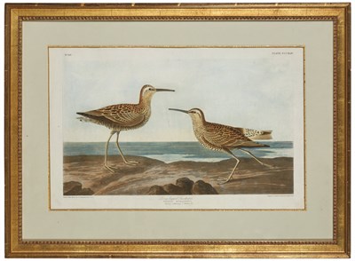 Lot 120 - After John James Audubon LONG-LEGGED SANDPIPER;...