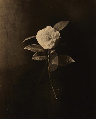 Lot 600 - YAMAMOTO, MASAO (b. 1957) Group of four images....