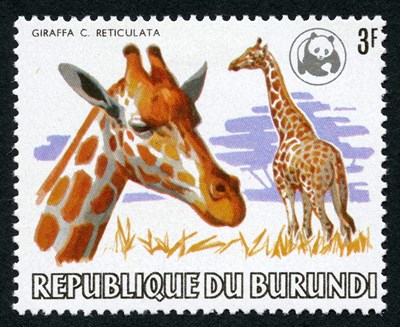 Lot 1004 - Burundi 1983 World Wild Life Overprinted Issue...