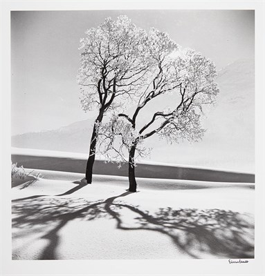 Lot 535 - EISENSTAEDT, ALFRED (1898-1995) [Trees in Snow,...