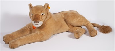 Lot 557 - Steiff Stuffed Figure of a Lion Length 62 inches.