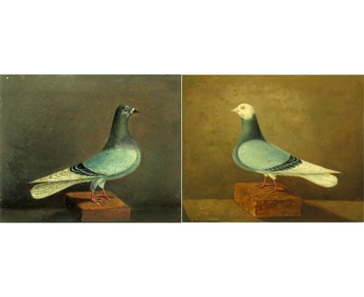 Lot 79 - British School 19th Century Prize Pigeons: A...