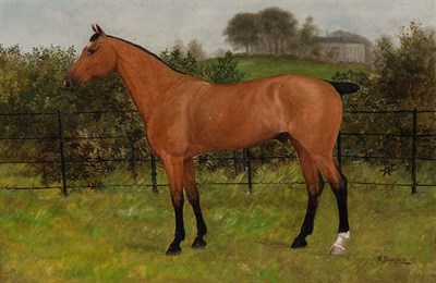 Lot 100 - American School 20th Century Horse in a...