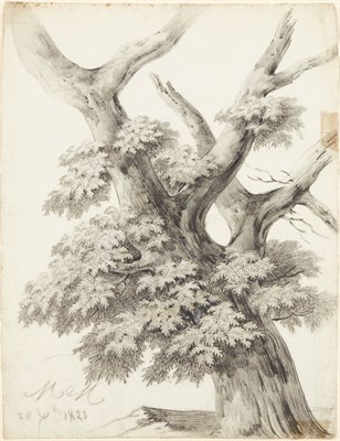 Lot 57 - Alphonse Nicolas-Michel Mandevare French,...