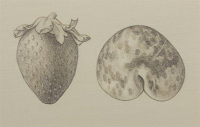 Lot 131 - Claude Saccaro American, 20th Century (i)...