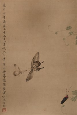 Lot 148 - Jim Yue 19th Century Butterflies and insects...
