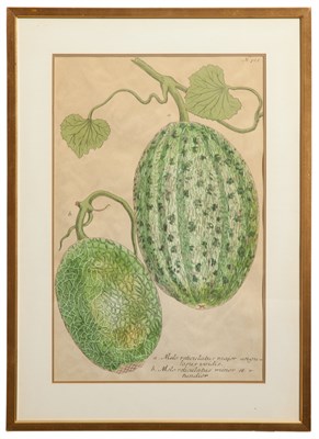 Lot 92 - Artist Unknown [MELON STUDIES] Two color...