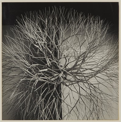 Lot 34 - CUNNINGHAM, IMOGEN (1883-1976) Ruth Asawa's...