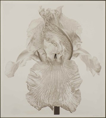 Lot 128 - DECOSSE, CY (b. 1929) Group of four works....