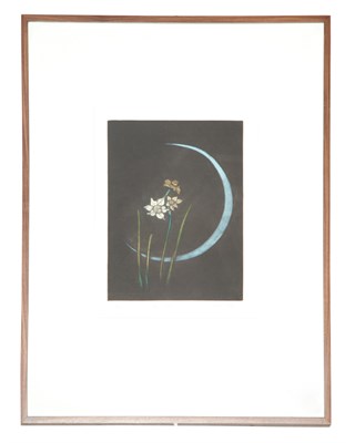 Lot 136 - Akio Hashimoto DAFFODILS Color mezzotint,...