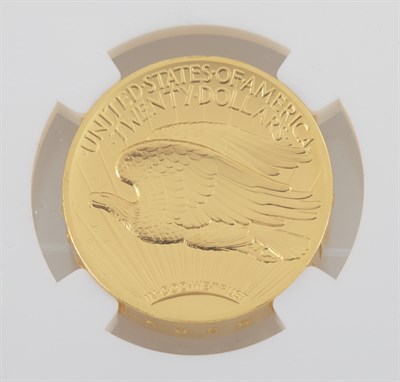Lot 1204 - United States 2009 Ultra High Relief MS70 Gem...