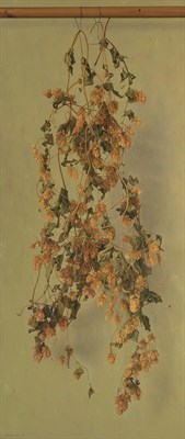 Lot 232 - Gerardo Pita Spanish, b. 1950 Dried Hops, 1993...