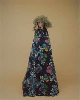 Lot 121 - WEGMAN, WILLIAM (b. 1943) Green Hair. Unique...