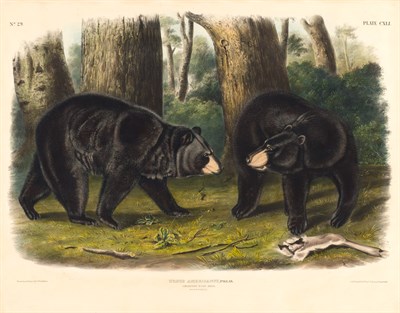 Lot 122 - After John James Audubon