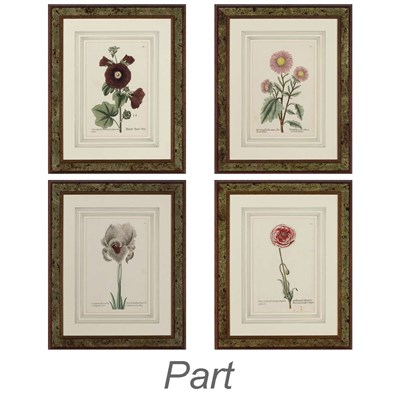 Lot 182 - Artist Unknown [FLOWER STUDIES] Eight...