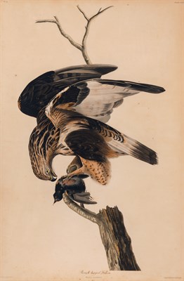 Lot 119 - After John James Audubon
