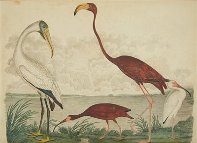 Lot 31 - WILSON, ALEXANDER American Ornithology; or,...