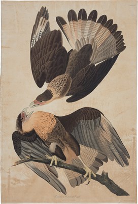 Lot 118 - After John James Audubon
