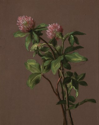 Lot 67 - American School, 19th Century (i) Clover Oil...