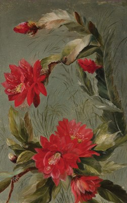 Lot 4 - American School 19th Century Christmas Cactus...