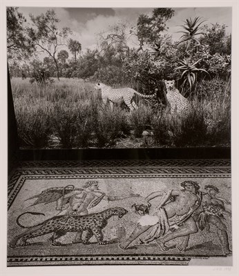 Lot 118 - UELSMANN, JERRY (b. 1934) Untitled [Leopard...
