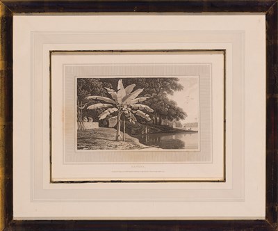 Lot 105 - William Daniell (1769-1837) [TREE STUDIES]...