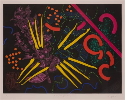 Lot 146 - Nancy Graves (1939-1995) NEFERCHIDEA Color...