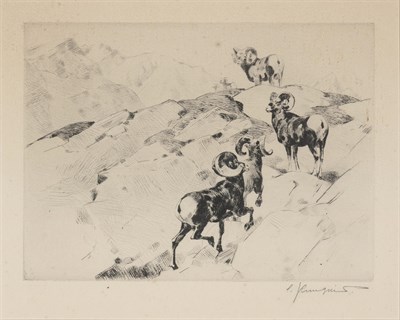 Lot 219 - Carl Rungius ALARMED (C. 6) Etching and...