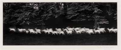 Lot 73 - CAPONIGRO, PAUL (b. 1932) Running White Deer,...