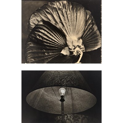 Lot 120 - MARTONE, MICHAEL Lampshade, Paris, 1969....