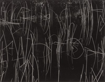 Lot 179 - WESTON, BRETT (1911-1993) Reeds, Oregon 1975....