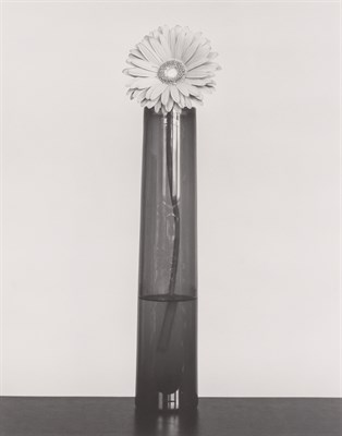 Lot 121 - MAPPLETHORPE, ROBERT (1946-1989) Daisy, 1982....