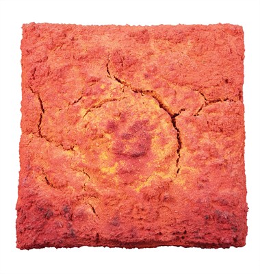Lot 139 - Bosco Sodi Mexican, b. 1970 Organic Work,...
