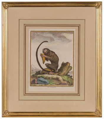 Lot 106 - After Jacques de Seve [SIMIAN STUDIES] Six...