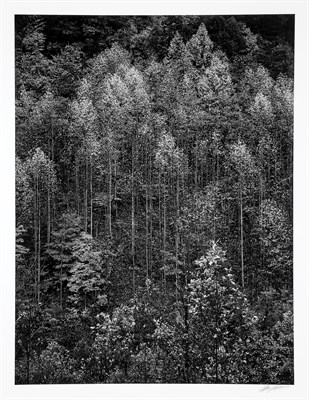 Lot 139 - ADAMS, ANSEL (1902-1984) Dawn, Autumn, Great...