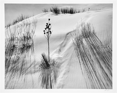 Lot 141 - ADAMS, ANSEL (1902-1984) Dune, White Sands...