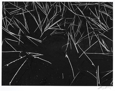 Lot 148 - ADAMS, ANSEL (1902-1984) Grass and Pool, The...