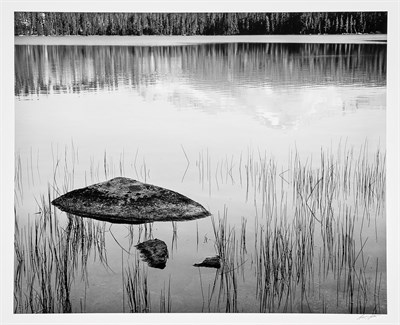Lot 174 - ADAMS, ANSEL (1902-1984) Rock and Grass,...