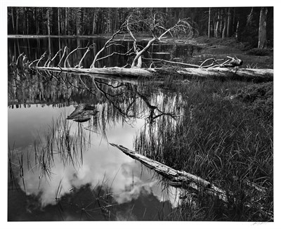 Lot 180 - ADAMS, ANSEL (1902-1984) Siesta Lake, Yosemite...
