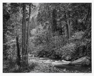 Lot 184 - ADAMS, ANSEL (1902-1984) Tenaya Creek, Dogwood,...