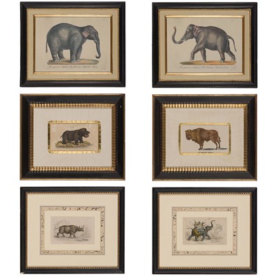 Lot 105 - After Stewart ELEPHANT OF INDIA; TWO HORNED...