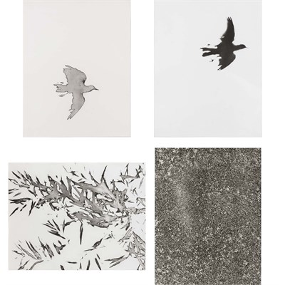 Lot 224 - Colin Self (b. 1941) BLACKBIRD I; BLACKBIRD II;...