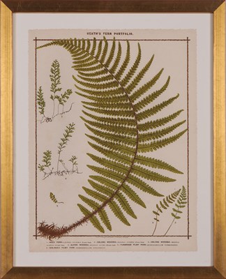Lot 125 - Francis George Heath (1843-1913) [FERN...