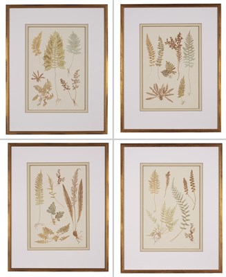 Lot 127 - Artist Unknown [FERN STUDIES] Four color...