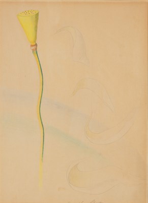 Lot 115 - Joseph Stella Italian/American, 1877-1946...