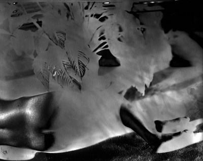 Lot 50 - Mariah Robertson American, b. 1975 Untitled...