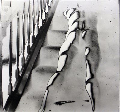 Lot 51 - Mariah Robertson American, b. 1975 Collage 3...