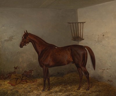 Lot 39 - English School 19th Century A Horse in his...