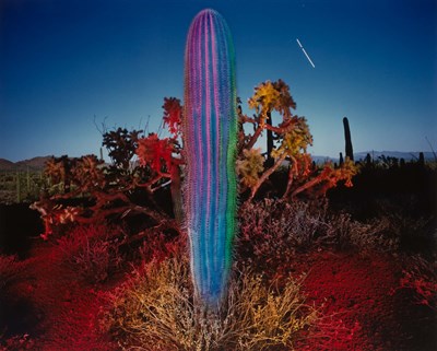 Lot 118 - LESCH, WILLIAM Blue Saguaro with Jupiter, 1988....